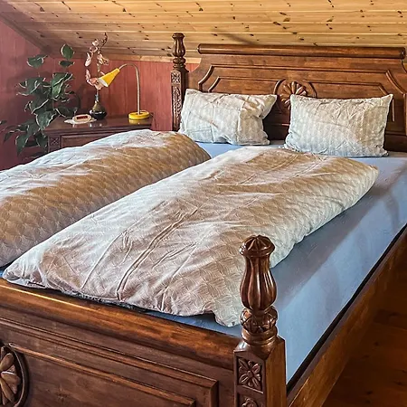 Gorgeous In With Sauna Holiday home Vanse